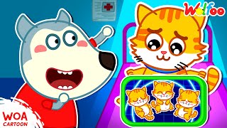 Wolfoo, Đừng Cảm Thấy Cô Đơn! | Mèo Mang Bầu Ba 😸 Hoạt Hình Sói Wolfoo Vui Nhộn 🐺@WoaCartoonVietnam