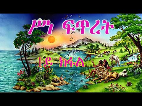 ቪዲዮ: ፈረንሳዮች ማንን የሚበር አይጥ ይሉታል