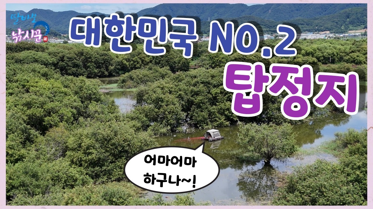 탑정호는 지금 산란중~ 기다리면 옵니다! #논산 #탑정지 #폭염경보