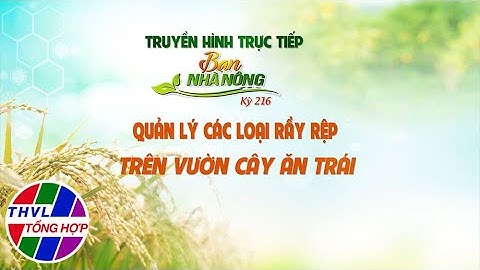 Bạn nhà nông - Kỳ 216: Quản lý các loại rầy rệp trên vườn cây ăn trái - Trailer
