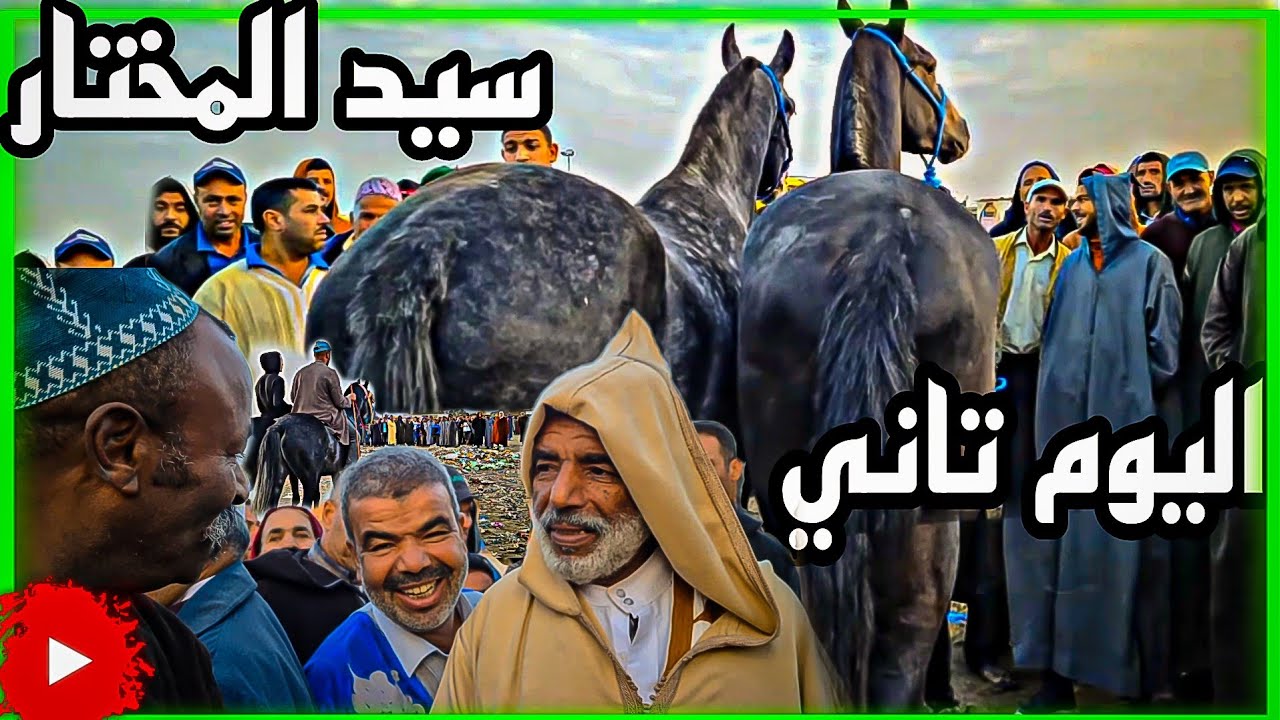 موسم سيد المختار اليوم اخير من السوق وزرنا جميع رحبات جمل والحمير 💯☎️0631119565