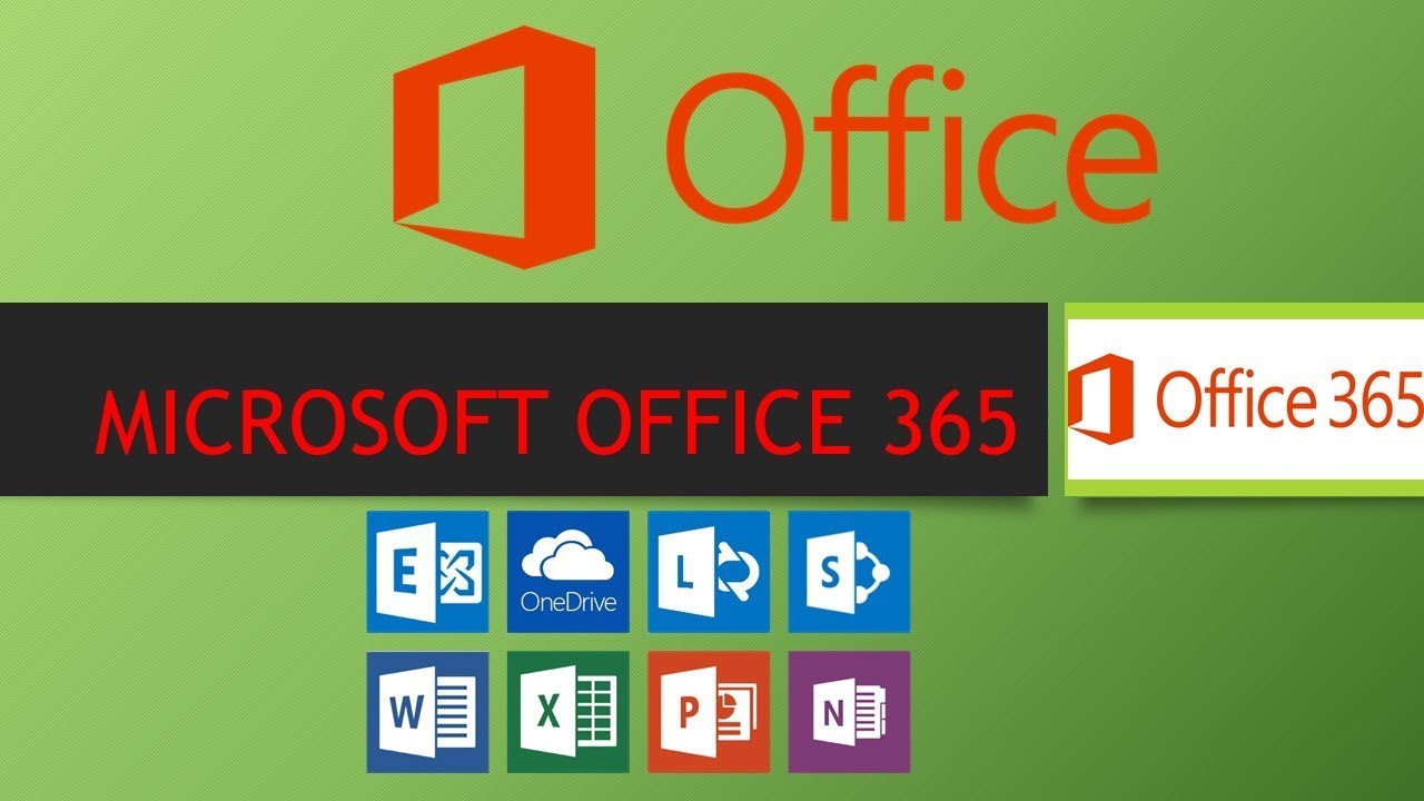 office 365 portal