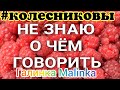 Колесниковы /Не знаю о чём говорить /Обзор Влогов /