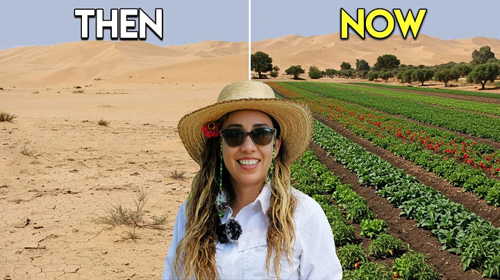 The Underground "Internet" Saving the Desert from Drought