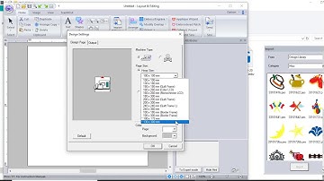 Brother PE Design- How To Set Hoop Size