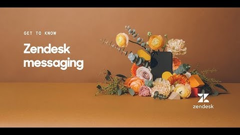 Getting to know Zendesk Messaging
