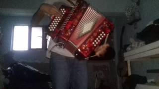 Música grupera con el acordeón