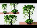 Cool Idea to Growing Money plants in Your living space | Money plant Hanging Idea//GREEN PLANTS