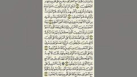 سورة التوبة من الآية ٨٧ إلى الآية ٩٣بصوت القارئ ماهر المعيقلي