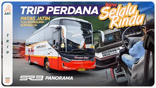 New ALWAYS MISS 😍 SR3 SINGLE GLASS Harapan Jaya Perdana Jalan PATAS Tulungagung - Surabaya