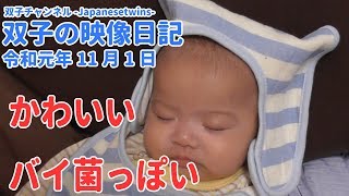 【赤ちゃん動画】映像日記11月1日【双子チャンネル-Japanesetwins-】