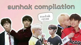 SunHak Compilation | THE BOYZ Juhaknyeon and Sunwoo