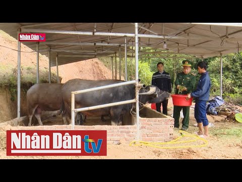 Video Cánh tay nối dài phát triển Đảng viên vùng biên giới - youtube