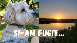 Am FUGIT din ORAS | Cautam LINISTEA in NATURA | Daily Vlog la ENPI Lake Resort IASI