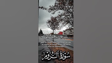 ما تيسر من #سورة_الروم | للقارئ الشيخ #ياسر_الدوسري