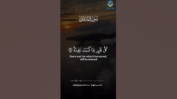 تلاوة خاشعة بديعة 🤍 ‏﴿كُلُّ نَفْسٍ بِمَا كَسَبَتْ رَهِينَةٌ﴾ || #وديع_اليمني