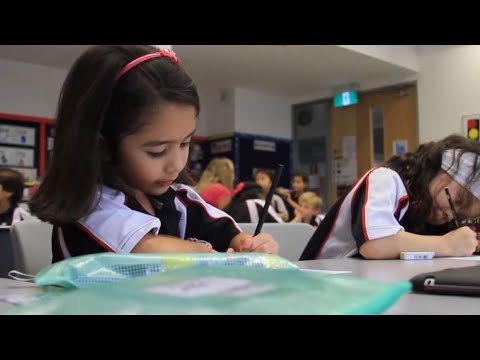 ვიდეო: როგორი იქნება ციტოპლაზმა სკოლაში?
