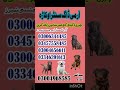 Army dog center  Sargodha  khoji  dog  in  sargodha
