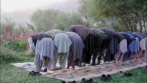 تلاوة خاشعة جدا للقارئ هاني الرفاعي 69