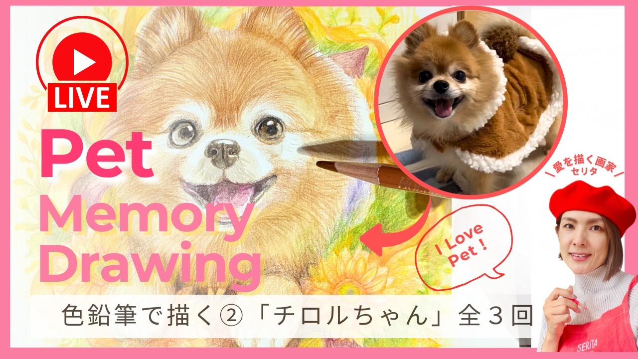 作家さんによる瞳が生きているように美しく、リアル過ぎる一刀彫のポメラニアン ポメラニアン🐶チロルちゃん②日目 | Pet Portrait Live - YouTube
