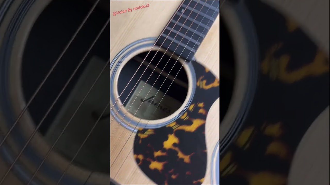 James J-300A II Natural アコースティックギター 初心者におすすめ