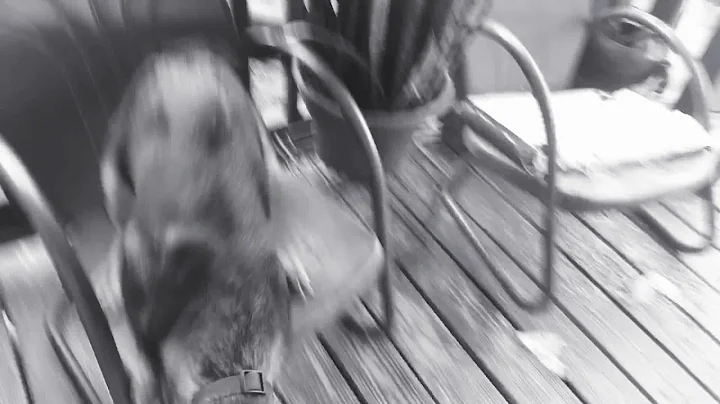 First video