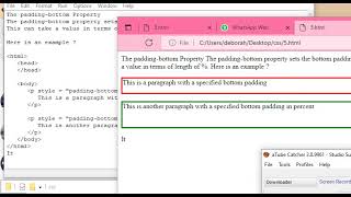 CSS The padding bottom Property