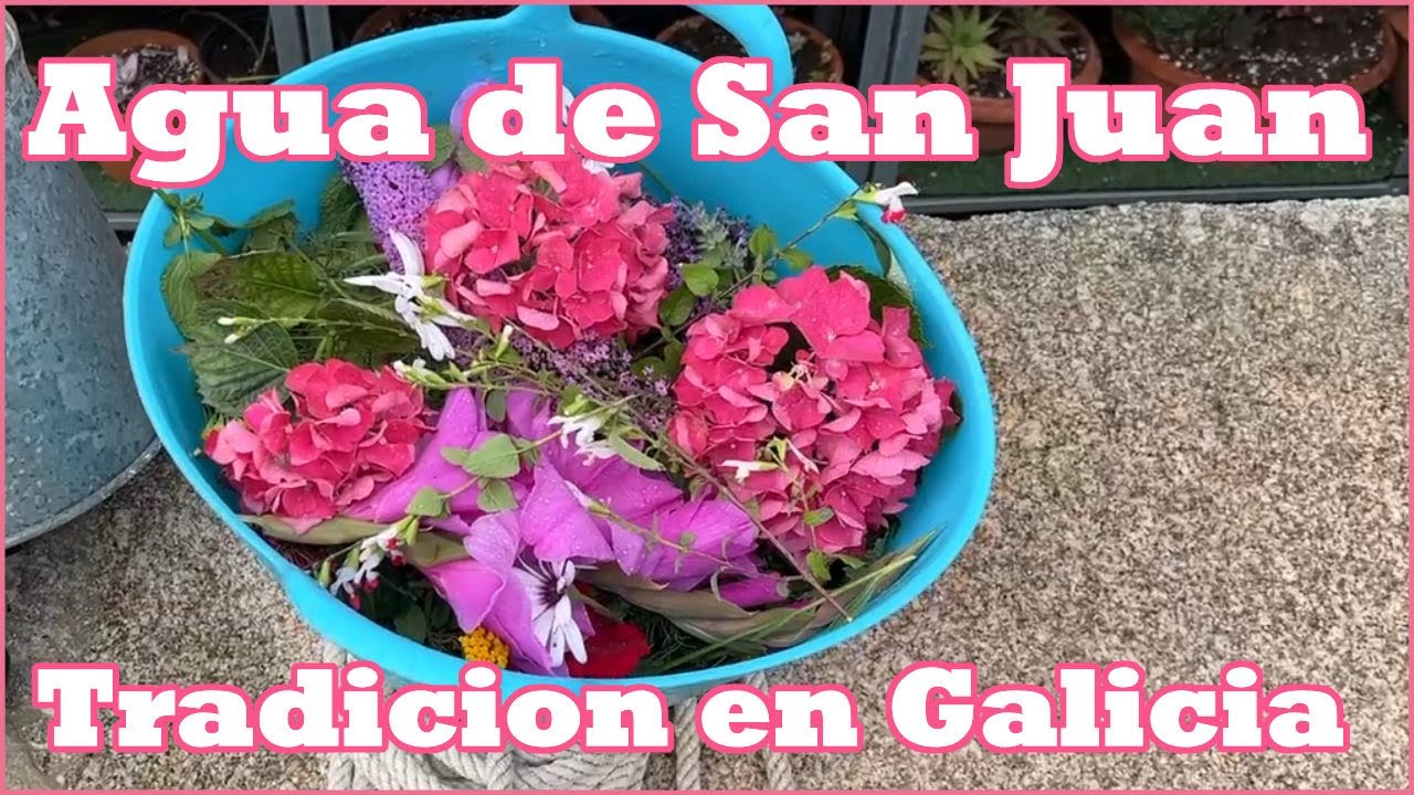 Agua de San Juan en Galicia 🪷 La tradiccion magica del 23 para 24 de Junio