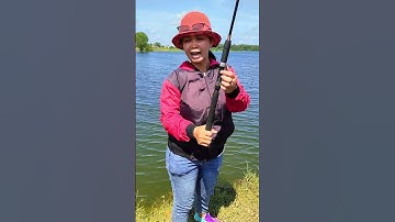 Cần câu cá 2 khúc đặc Scabar #shorts | Dã Ngoại Cùng Lan