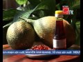 Gấc - Quả đến từ thiên đường