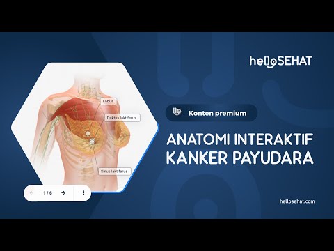 Video: ITIH5 Memediasi Pemrograman Ulang Epigenetik Sel Kanker Payudara