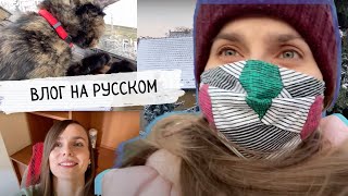 Что я делаю, когда нет уроков: снимаю видео для Patreon и YouTube (Subtitles - RUS, ENG)
