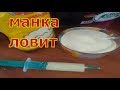 МАСТЫРКА ИЗ МАНКИ которая не слетит с крючка.