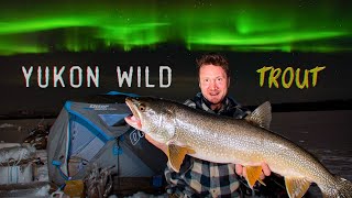 Northern Lights Out Trout  Fishing for Monster Lake Trout in the Remote Yukon Wilderness  E.1