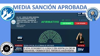 Ley Nacional de Lengua de Señas Argentina | Media Sanción Diputados by Carolina Sarria 482 views 1 year ago 1 hour, 42 minutes
