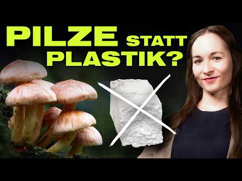Aus Pilzen gebaut: Das Supermaterial der Zukunft