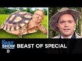 Beast of Special | The Daily Show