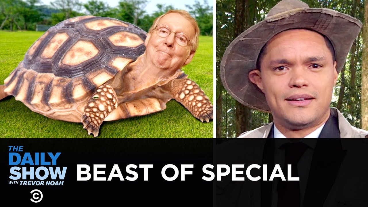 Beast of Special | The Daily Show