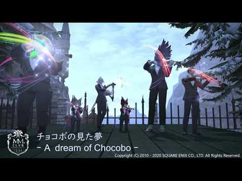 【FF14楽器演奏】MM.CLUB / 星芒の歌 ～ スターライト de チョコボ メドレー / Starlight, Starbright - Starlight de Chocobo