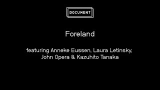 DOCUMENT at the Foreland Gallery Coalition