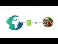 Sensormatic Solutions Digital Food Safety