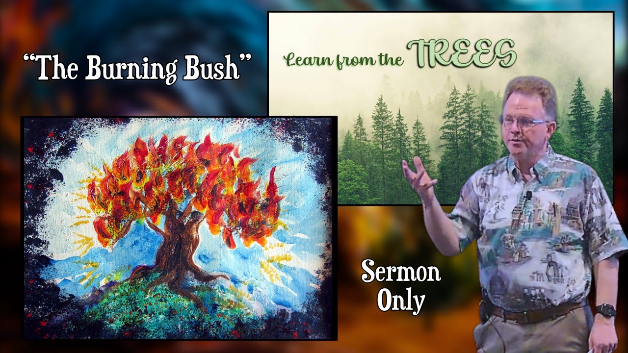 "Learn from the Trees - The Burning Bush" - Sermon Only - YouTube