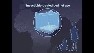 Early-Childhood Mosquito Net Use and Long-Term Survival | NEJM
