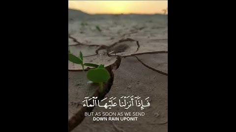 تلاوة مباركة من القرآن الكريم بصوت خاشع