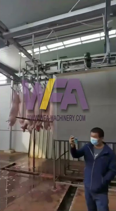 Pig slaughter house pork processing plant for pig slaughter line
