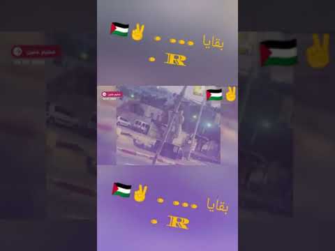 رعب العدا يا سادة مخيم جنين فلسطين 