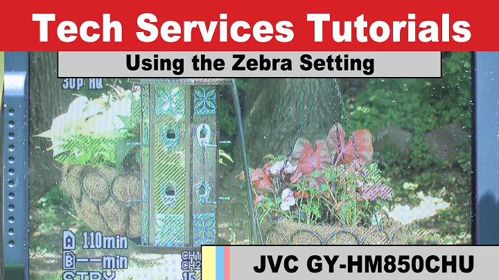 MSP JVC850CHU - Using the Zebra Setting to Prevent Overexposure