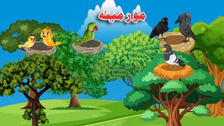 Mor Meena | Khan Cartoon Birds | Pashto Cartoon