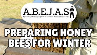 Preparing Honey Bees for Winter (ABEJAS Module 1.4)