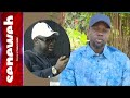 Sortie de Sonko: les révélations de Cheikh Ousmane Touré